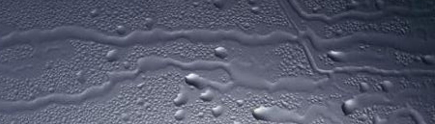 Avoiding moisture build up within the optics of NDIR Sensors.