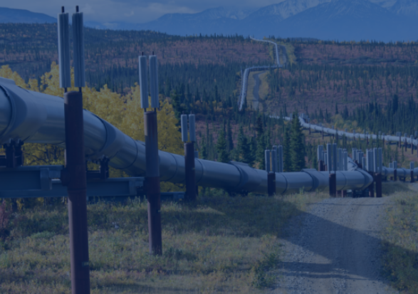 Natural Gas